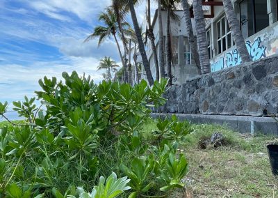 seminaire CEDTM Tamarun protection tortues