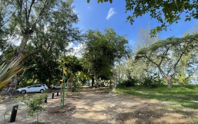 Travaux sur le littoral de l’Ermitage