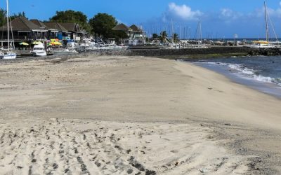 Travaux de reprofilage plage Roches Noires