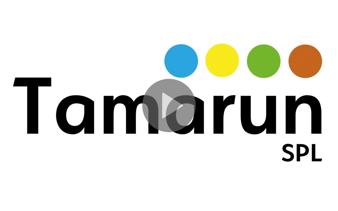 Nouveau logo Tamarun